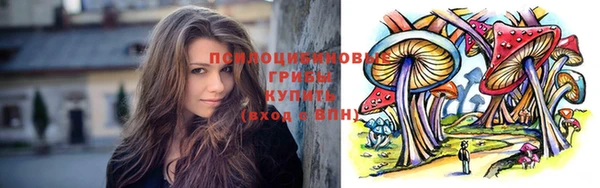 мяу мяу мука Волоколамск
