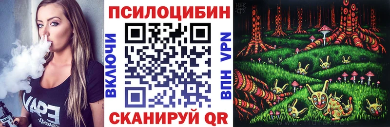 kraken ССЫЛКА  Подольск  Псилоцибиновые грибы Cubensis 